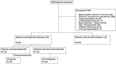 Urinary sodium excretion is low prior to acute kidney injury in patients in the intensive care unit